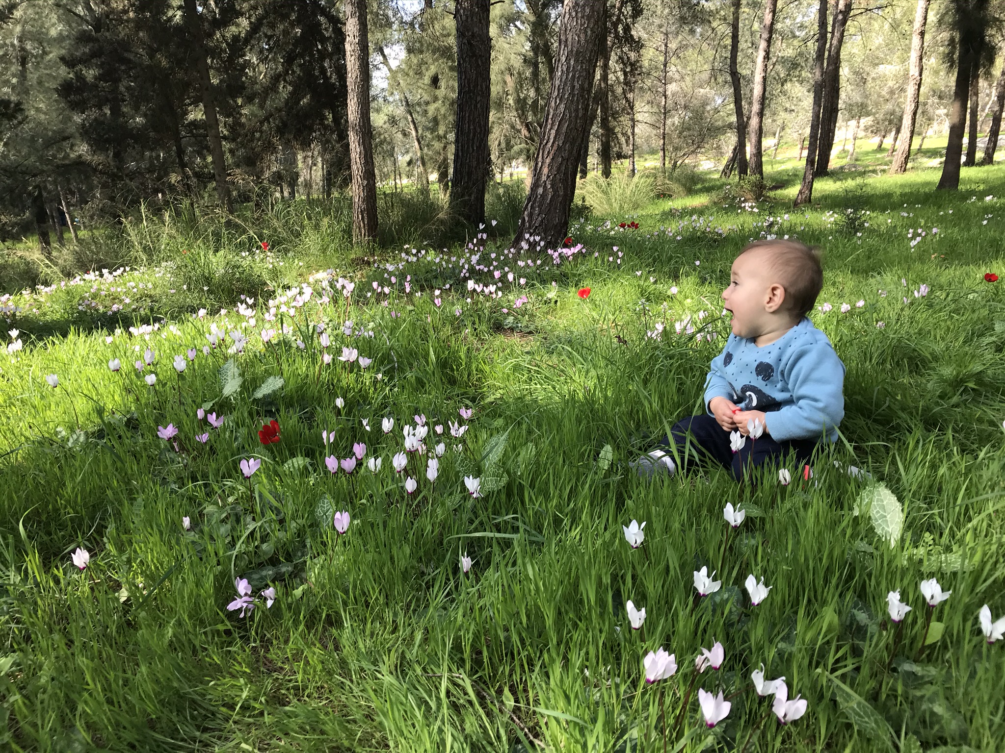 רשמים מהכנס השביעי של האגודה הישראלית לפסיכולוגיה קוגניטיבית